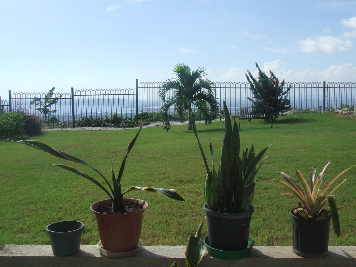 Bella Vista Villa Kingston Exterior photo